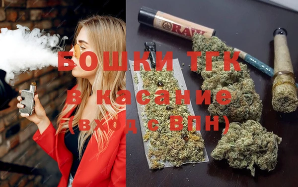 сатива Россошь