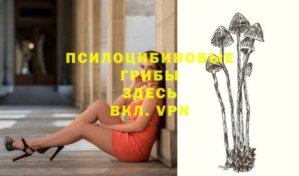 каннабис Алзамай